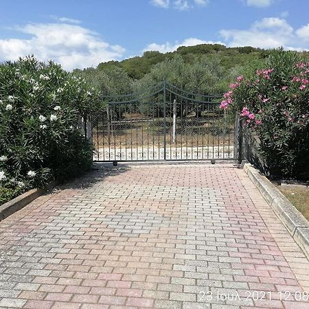 Elena'S Green House Nea Iraklitsa Dış mekan fotoğraf