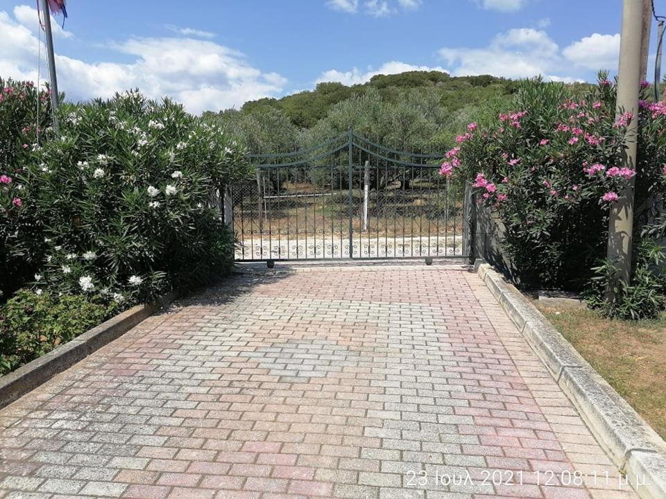 Elena'S Green House Nea Iraklitsa Dış mekan fotoğraf
