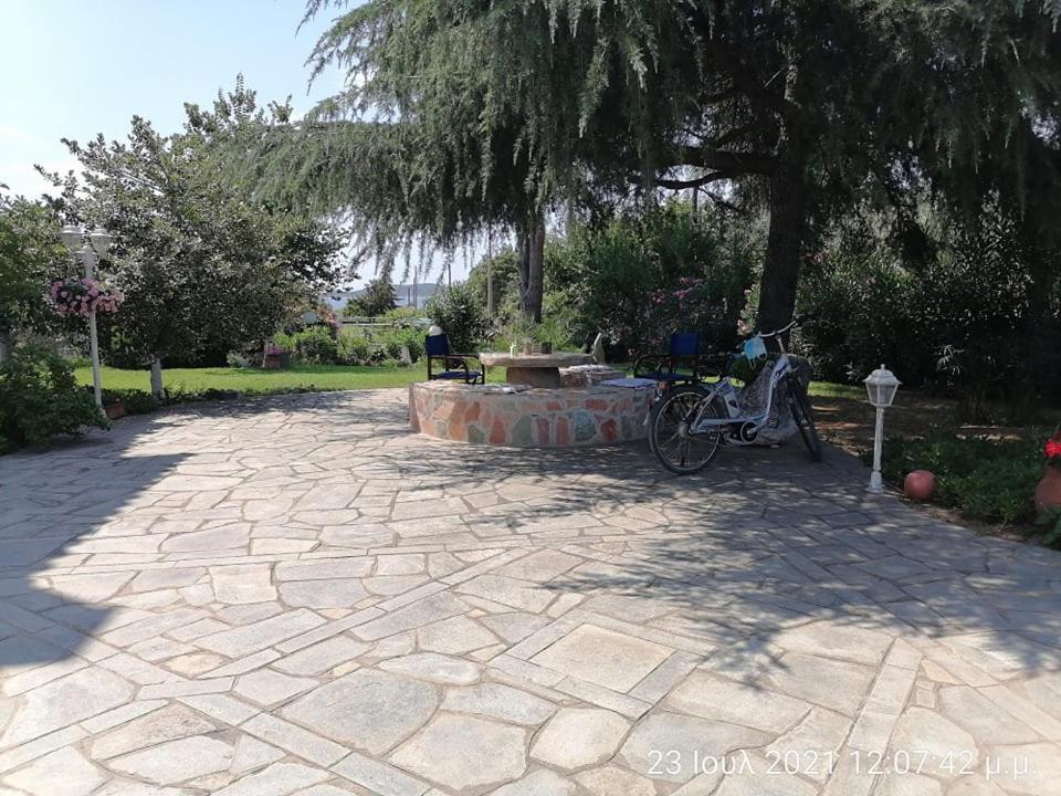 Elena'S Green House Nea Iraklitsa Dış mekan fotoğraf