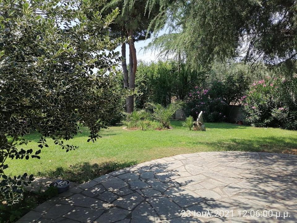 Elena'S Green House Nea Iraklitsa Dış mekan fotoğraf
